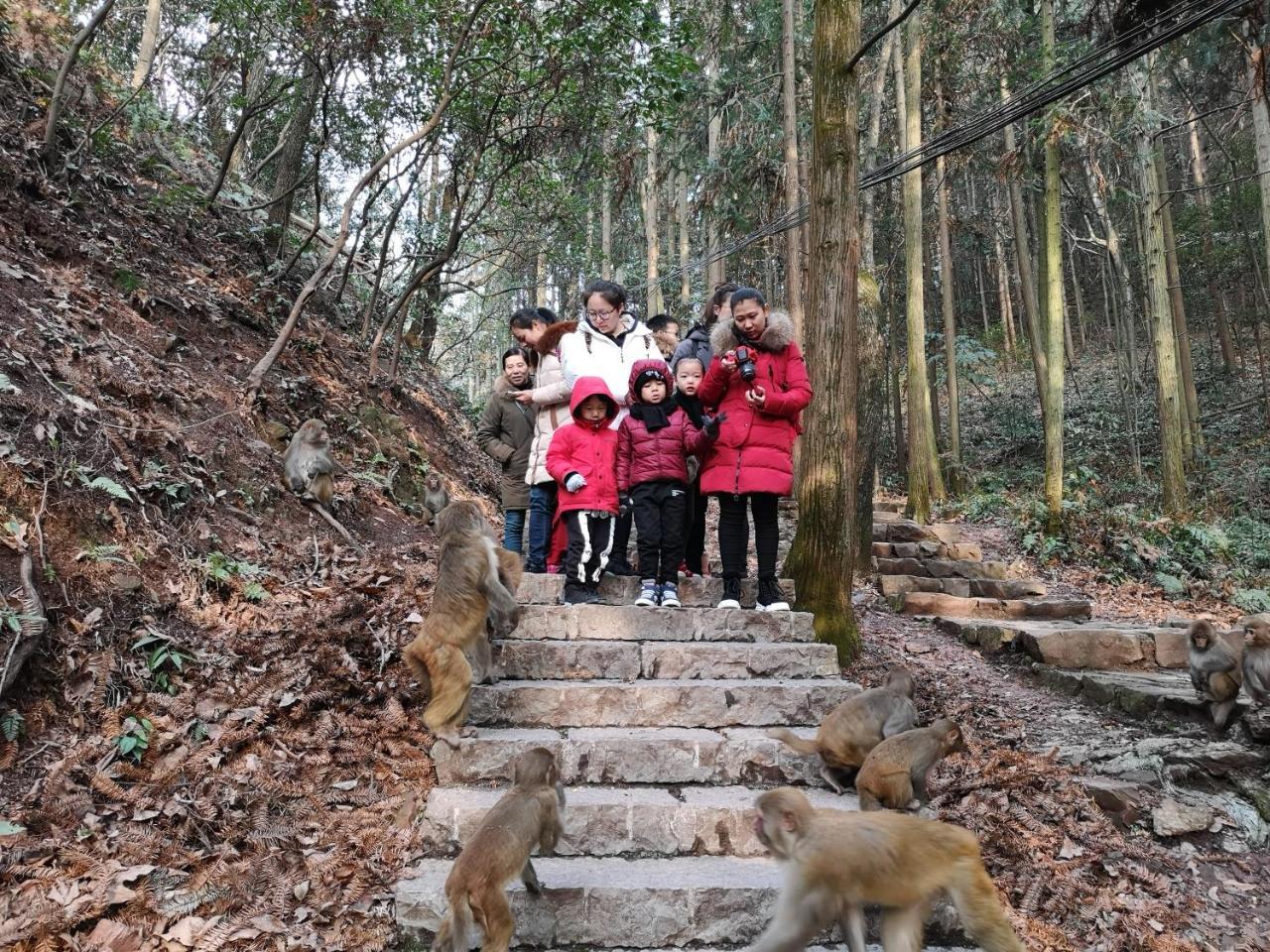 Zhangjiajie National Park Yuelu Homestay Exteriér fotografie