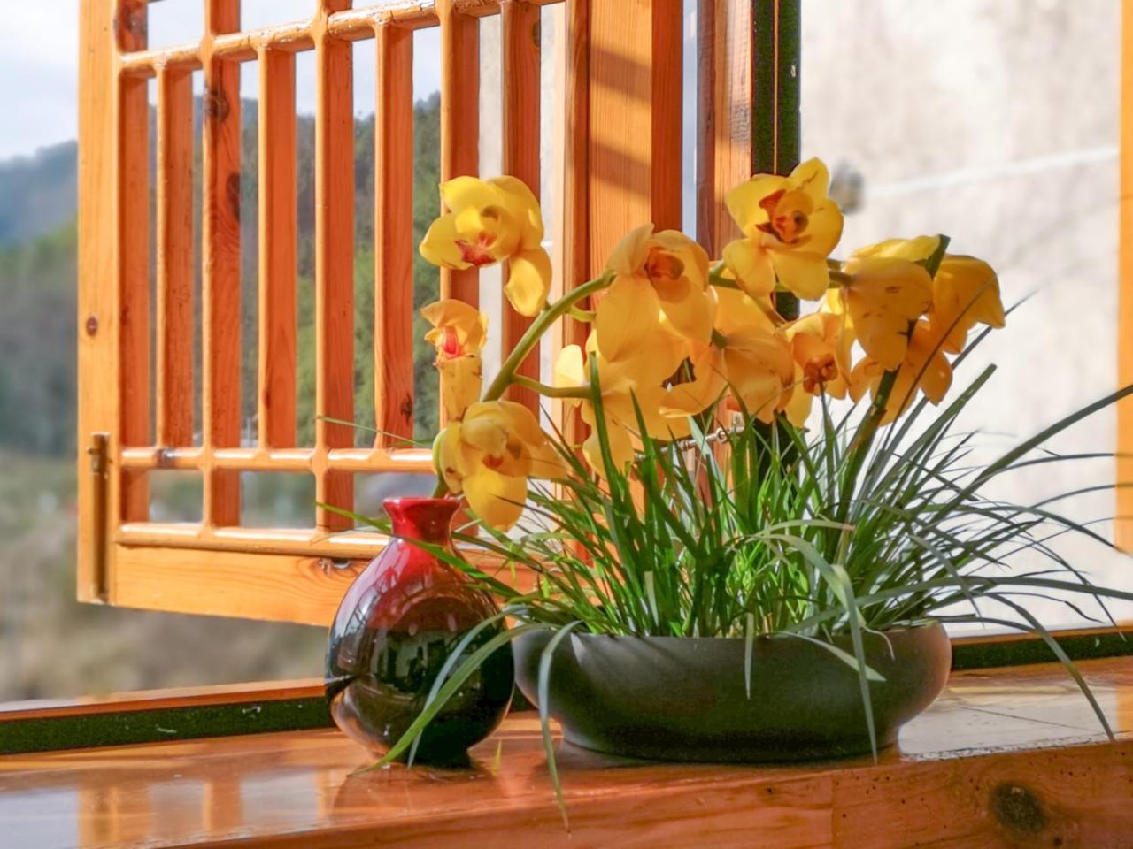 Zhangjiajie National Park Yuelu Homestay Exteriér fotografie